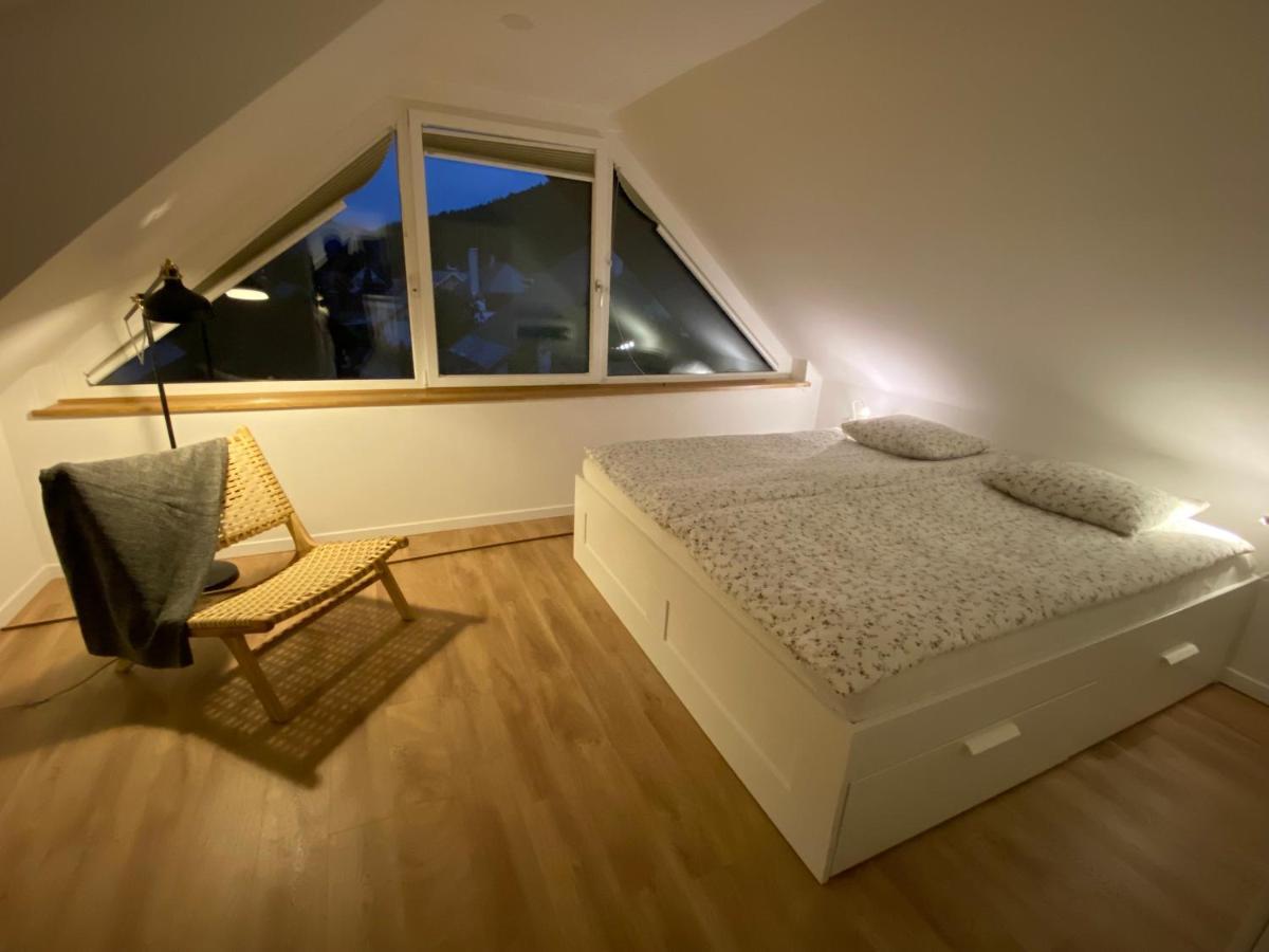 Apartment Zidana Marela - Attic With A View Kranjska Gora Exteriér fotografie