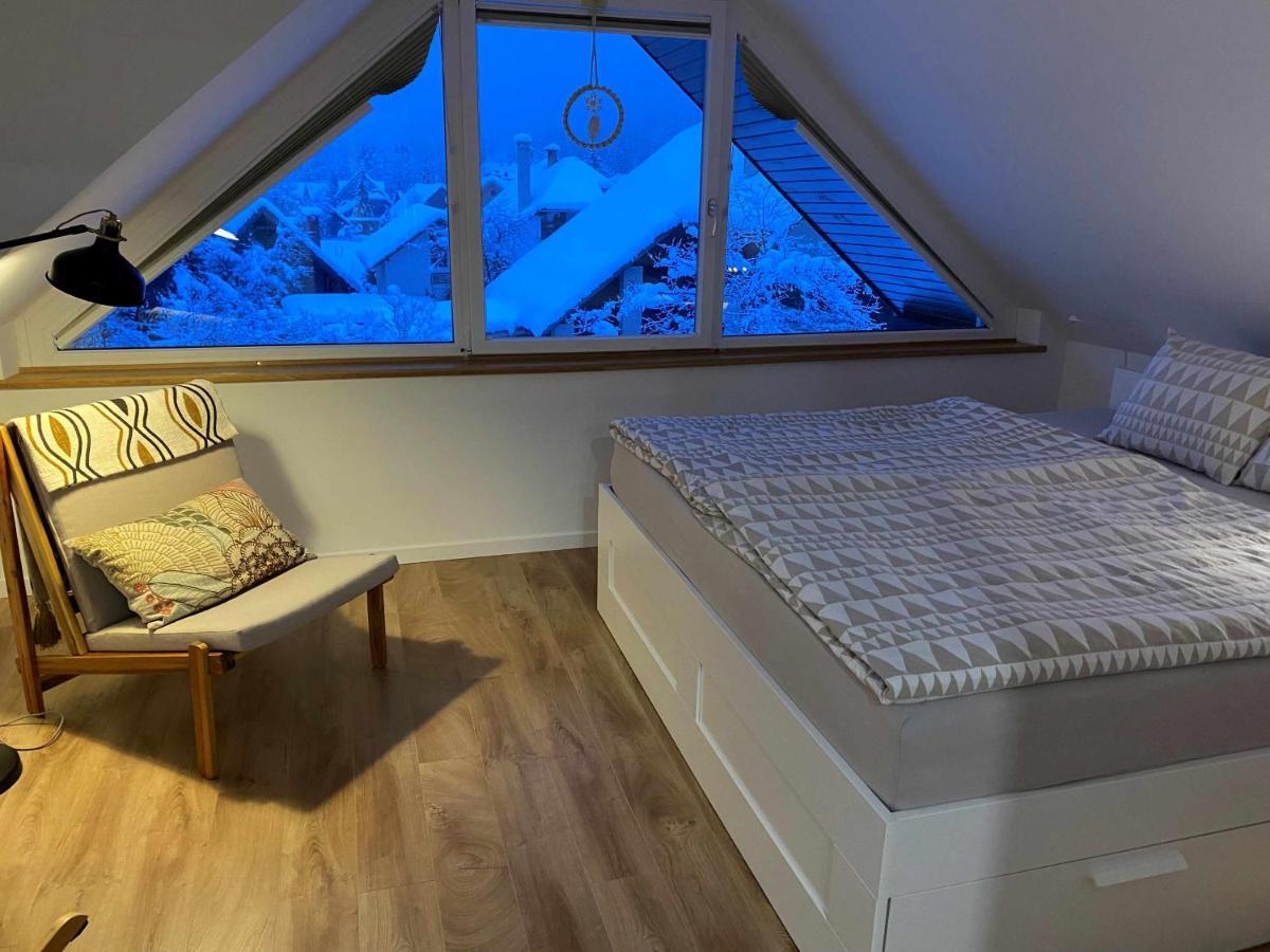 Apartment Zidana Marela - Attic With A View Kranjska Gora Exteriér fotografie
