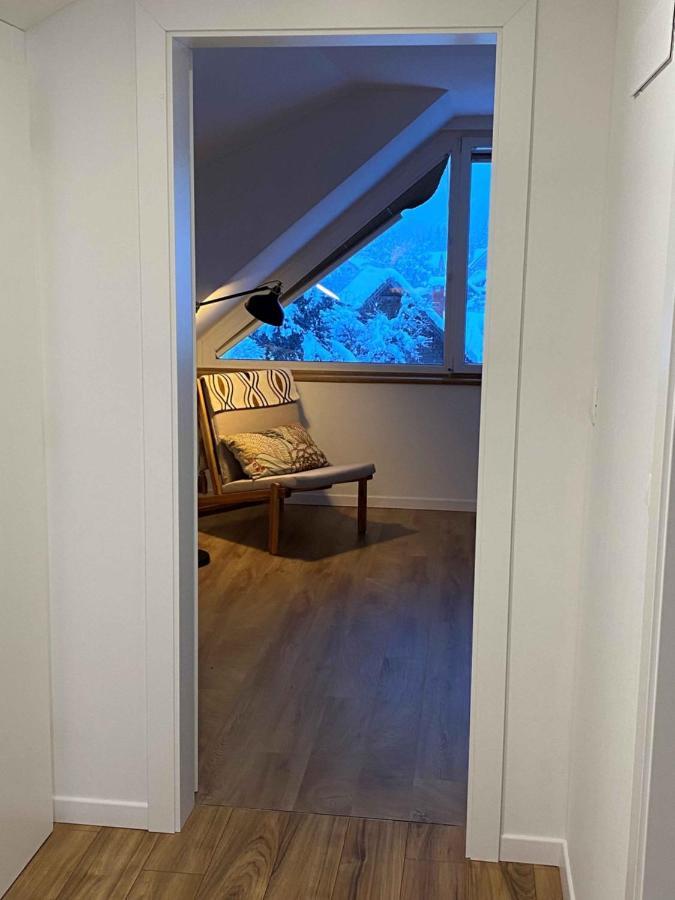 Apartment Zidana Marela - Attic With A View Kranjska Gora Exteriér fotografie