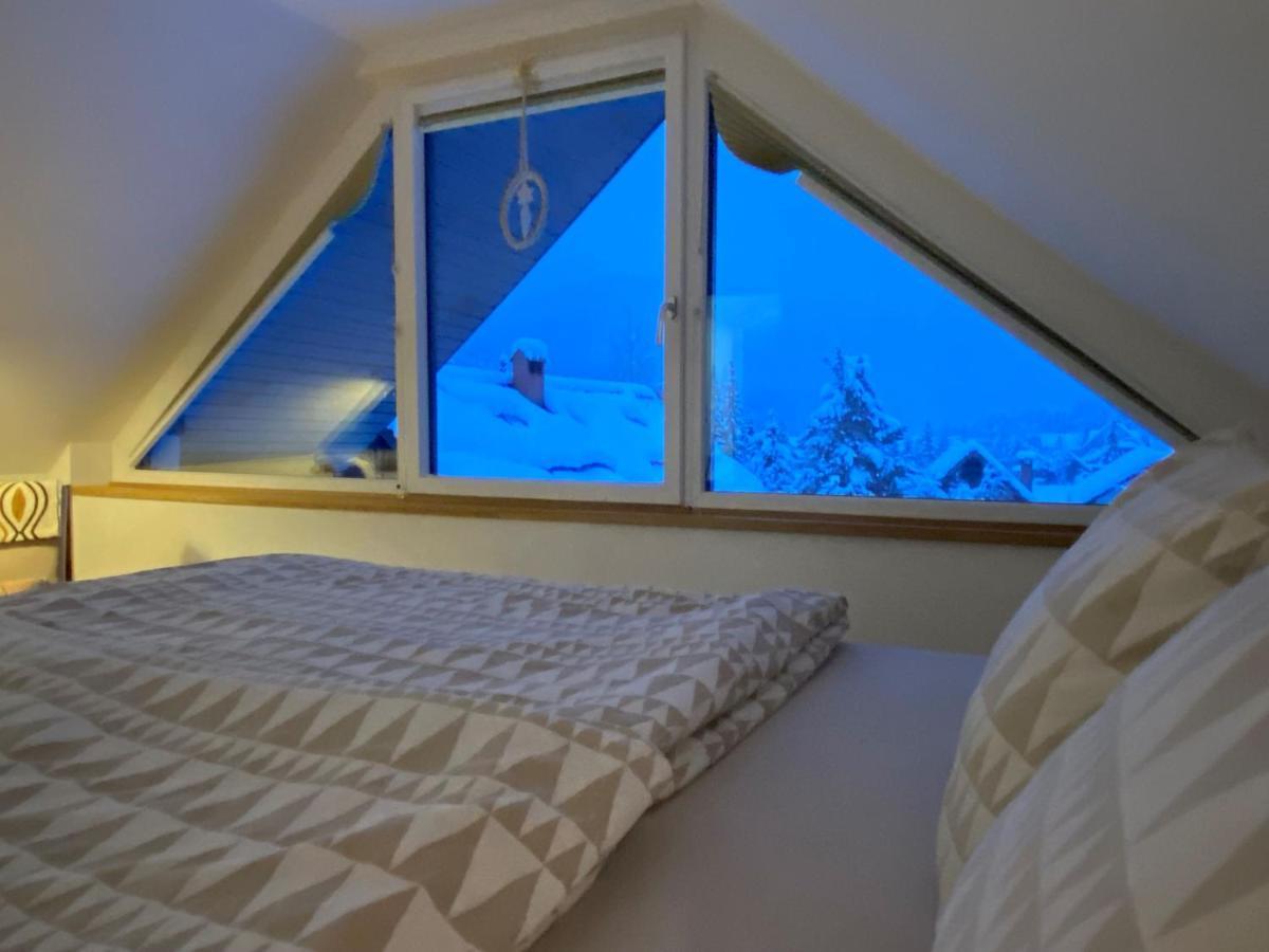 Apartment Zidana Marela - Attic With A View Kranjska Gora Exteriér fotografie